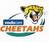 Central Cheetahs logo